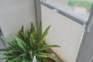 Plisētās žalūzijas