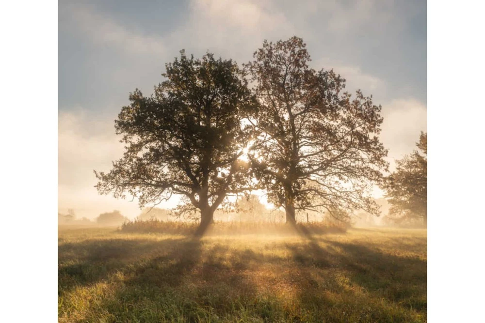 SOOMAA AUTUMN (drukāts audums, daļēji aptumšojošs)